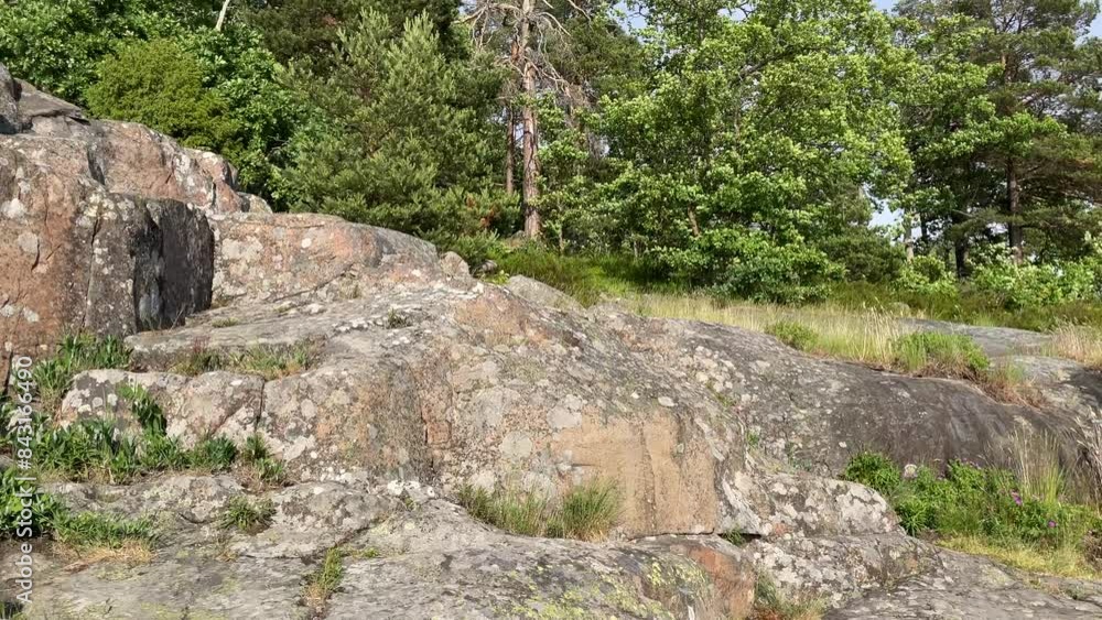 Cliffs and rocks with forest on the top. Stockholm, Sweden.