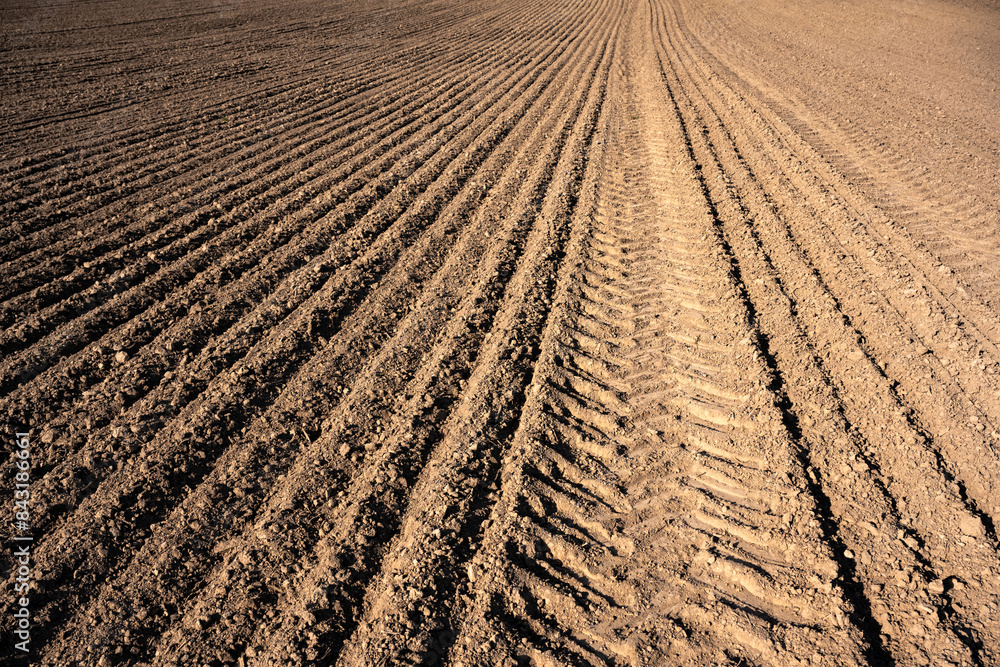 Plowed agricultural field with even rows and tractor track. Fertile soil ready for planting Plowed agricultural field with even rows and tractor track. Fertile soil ready for planting