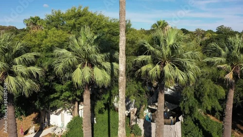 Aerial video above trees in Jisr az Zarqa Israel photo