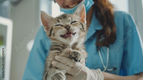 A veterinarian is holding a kitten in her arms. The kitten is smiling and looks happy. The veterinarian is wearing a blue uniform and gloves. © Dinara