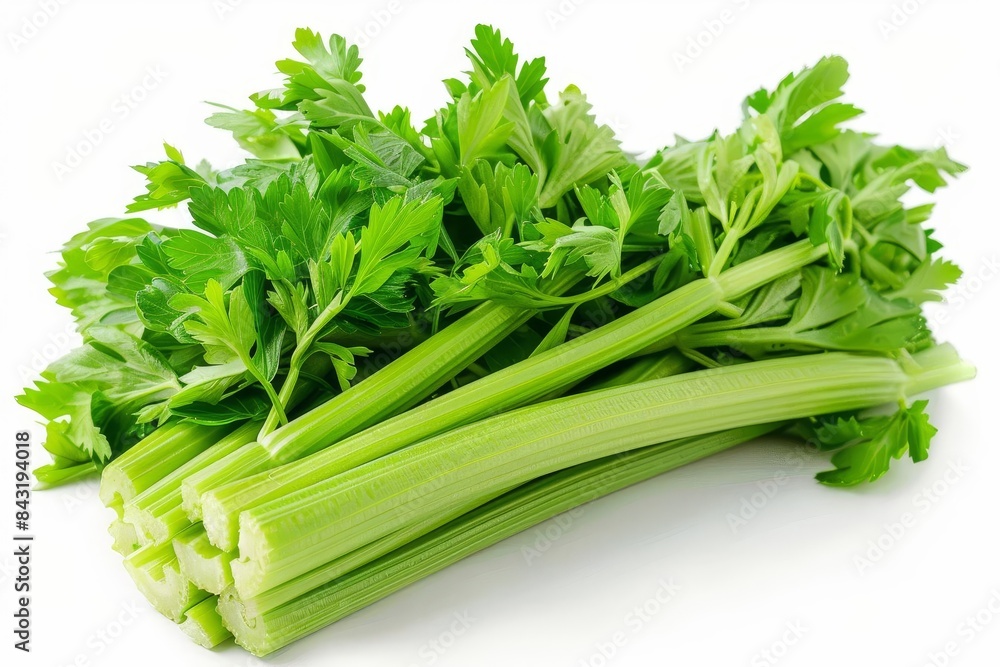A fresh bunch of celery stalks with crisp green leaves at the top with white background A fresh bunch of celery stalks with crisp green leaves at the top with white background