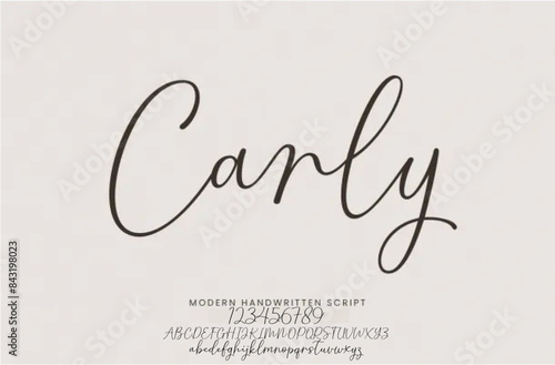 signature Font Calligraphy Logotype Script Brush Font Type Font lettering handwritten