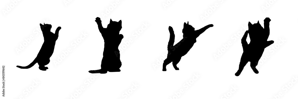 set of silhouettes illustration background cat for a pet day stlye set of silhouettes illustration background cat for a pet day stlye