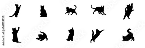 set of silhouettes illustration  background cat for a pet day stlye