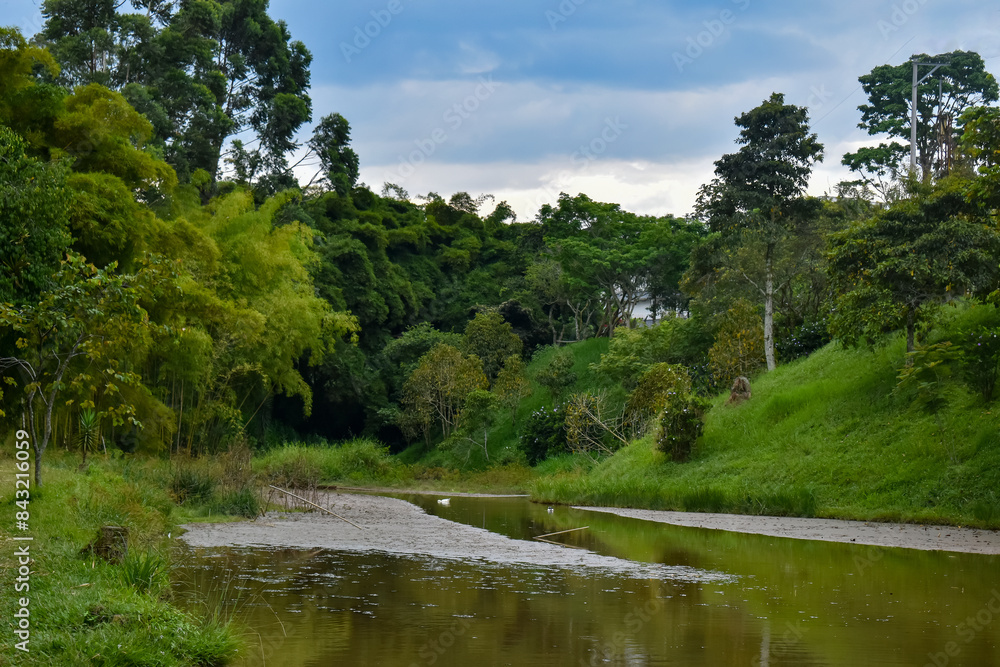 UN PAISAJE EN EL EJE CAFETERO. COLMBIA. UN PAISAJE EN EL EJE CAFETERO. COLMBIA.