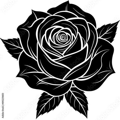 black and white rose