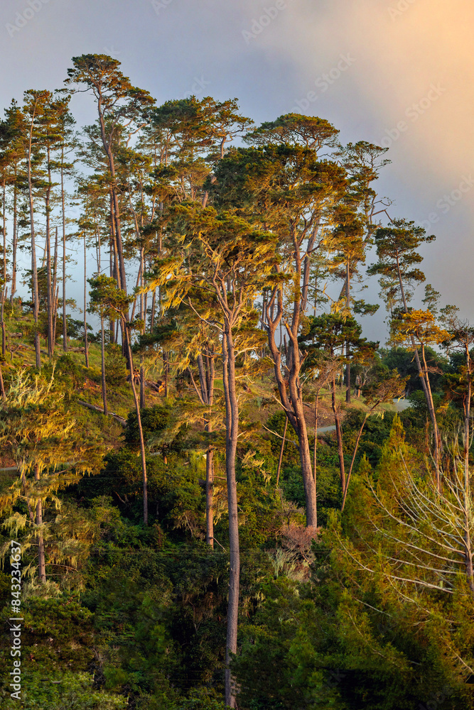 Obraz premium Late Afternoon Over Lampton Ridge