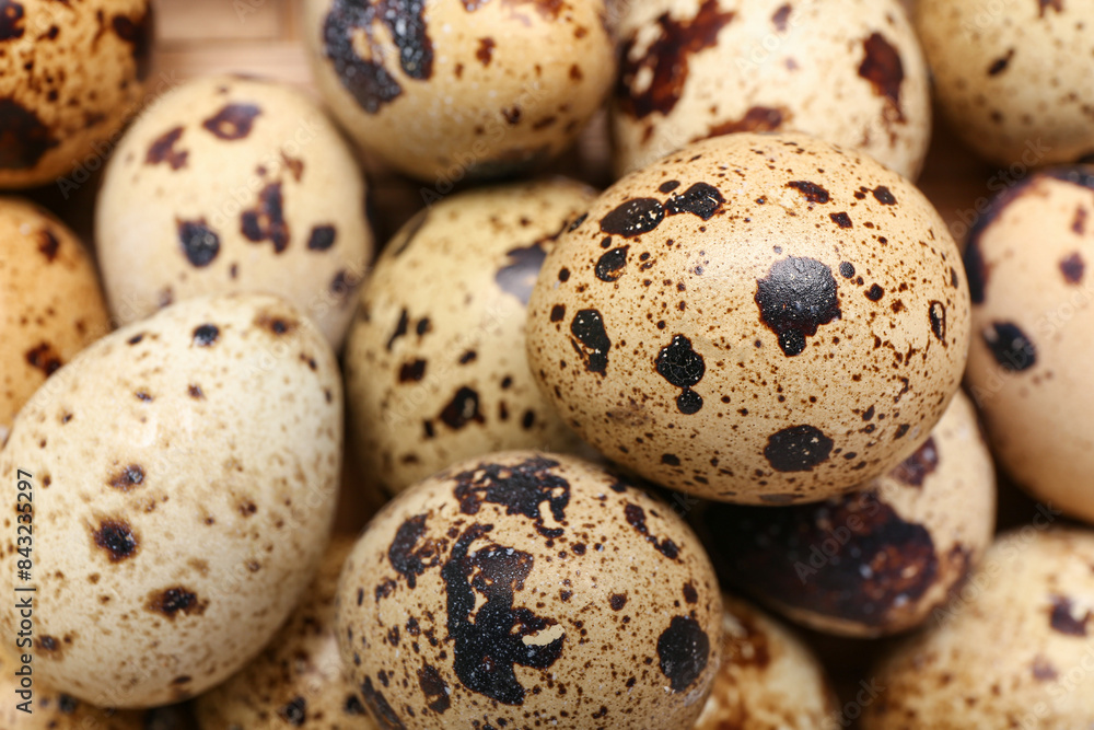 Texture of fresh quail eggs as background Texture of fresh quail eggs as background