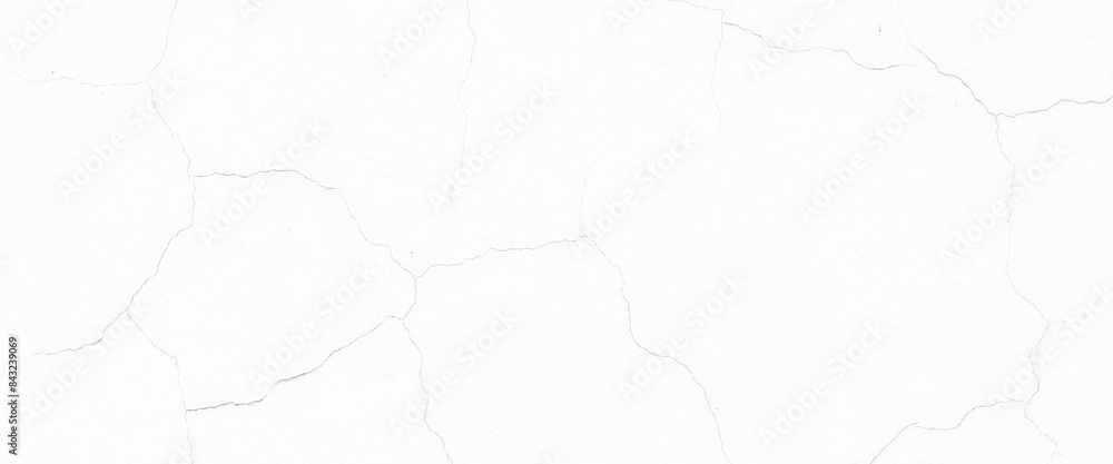 Obraz premium Vector grunge white crack granite white background.