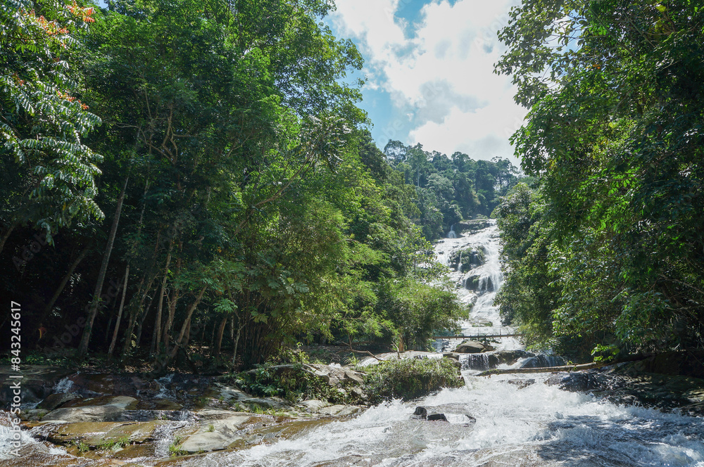 Obraz premium 山の中を勢いよく流れる木々に挟まれた川の風景
