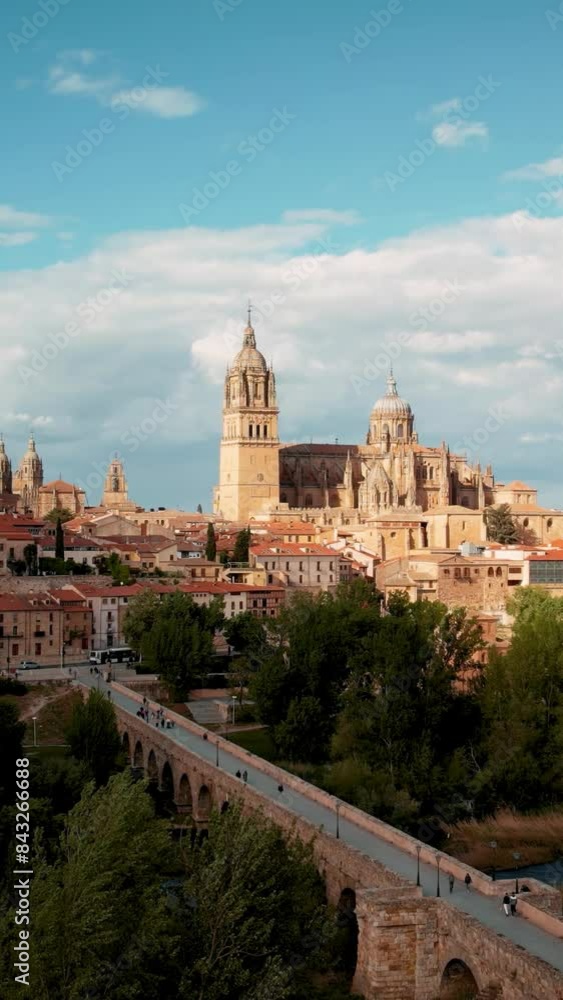 Aerial view of Salamanca
Aerial view of Salamanca