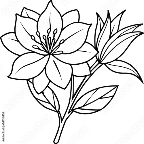 Hand drawn simple Floral flower vector illustration esp 10
