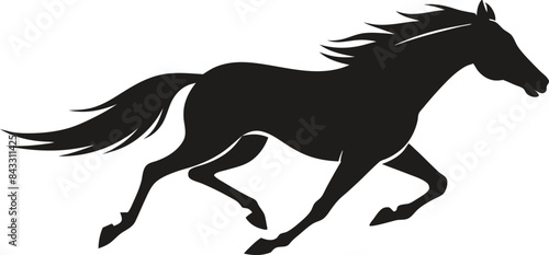 horse silhouette isolated on white background