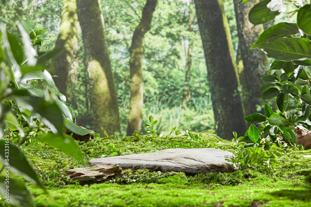 Natural green forest scene photograph with a blank flat stone platform in center for showing product, both sides decorated with green branches. Front view and empty space for advertising Natural green forest scene photograph with a blank flat stone platform in center for showing product, both sides decorated with green branches. Front view and empty space for advertising
