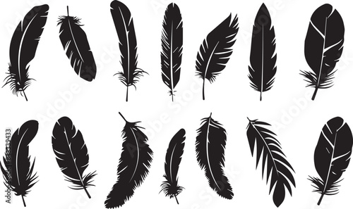feather seamless pattern