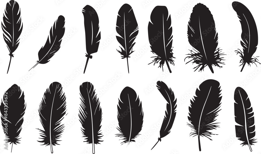 feather seamless pattern feather seamless pattern