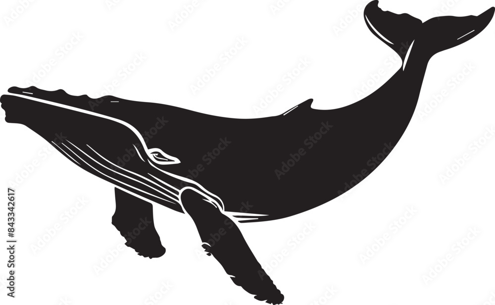 Obraz premium silhouette of a whale