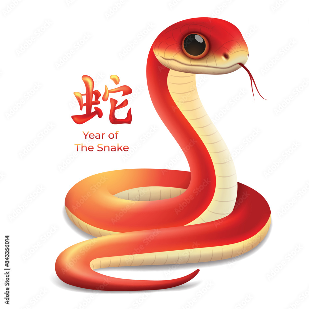 Fototapeta premium Year of The Snake 2025 Zodiac sign, Chinese new year 2025 snake 3d vector illustration