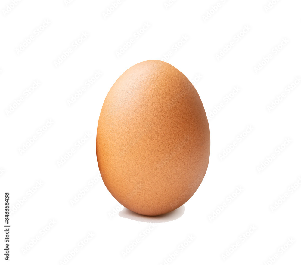 Front view of single fresh brown chicken egg isolated with clipping path in png file format Front view of single fresh brown chicken egg isolated with clipping path in png file format