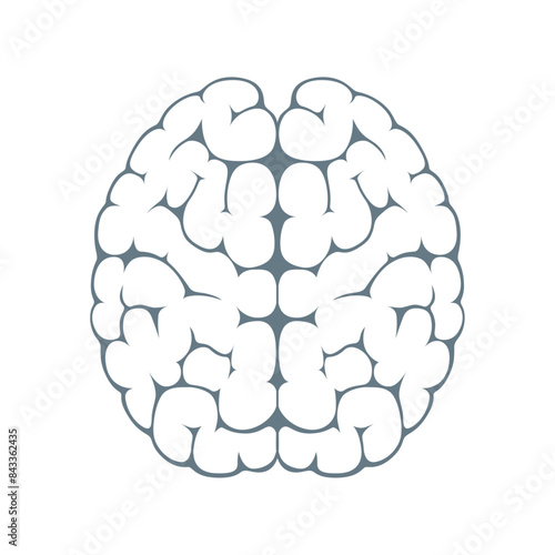 Isolated image of brain silhouette on white view from above