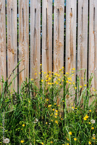 Vertical photo of a fence in a village.