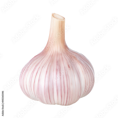 Garlic, transparent background