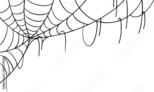 Spider web illustration decorative background