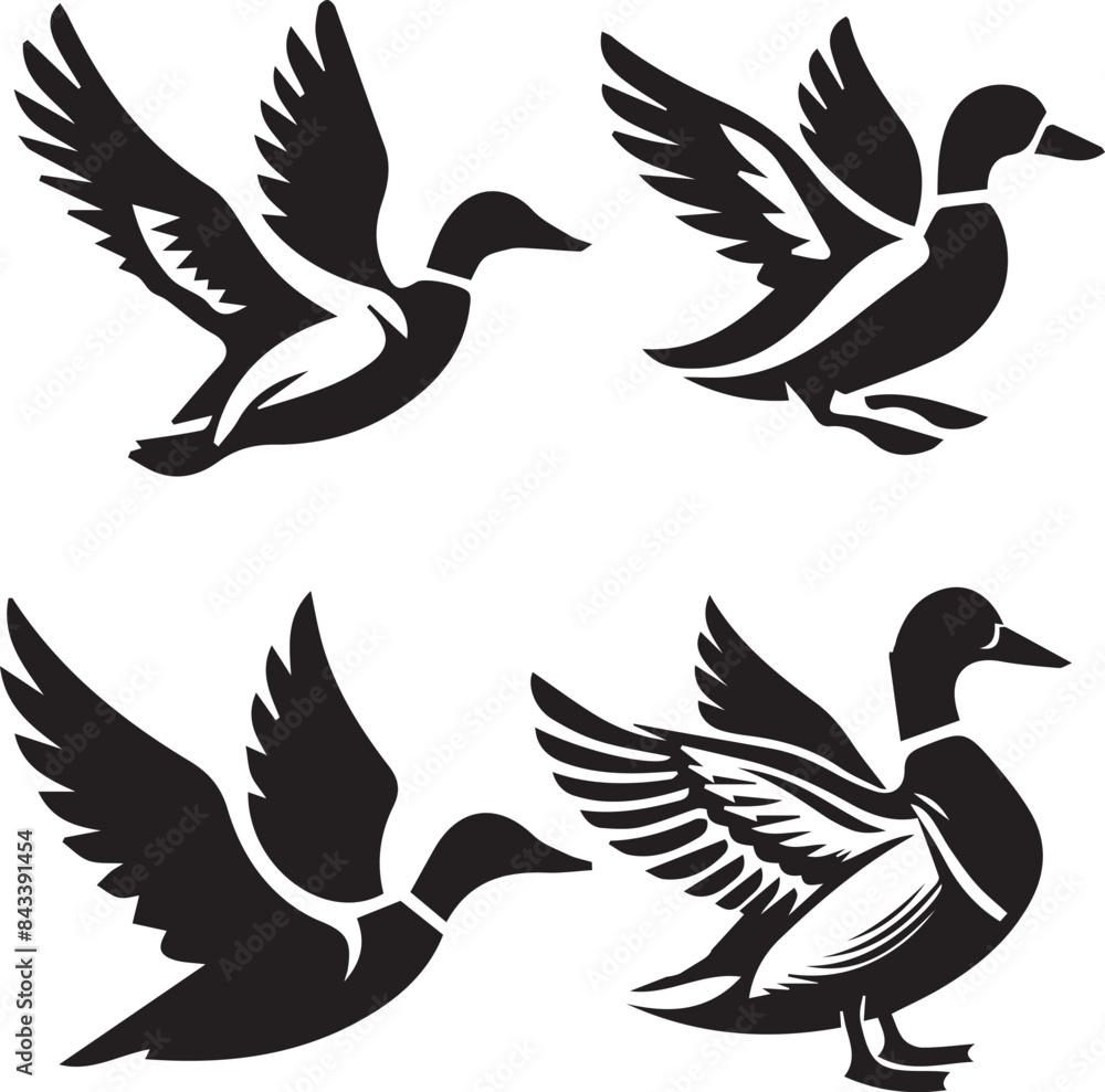 Obraz premium set of Malan duck silhouette