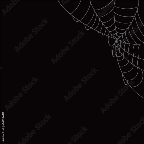 Spider web illustration decorative background