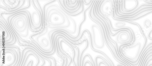 Abstract topographic contours 3d map background .topographic line texture background .monochrome image .stylized height of the topographic map contour in lines. 