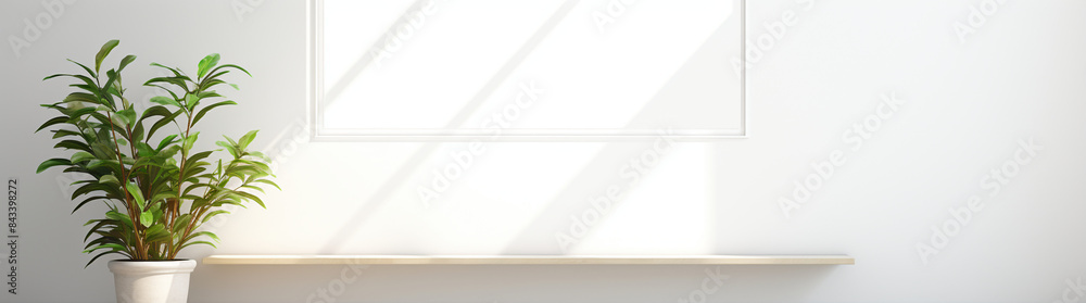 White empty room with window and green plant on white bench, sunlight. Minimalistic interior design of modern home entrance hall. Photorealism. White wall background with copy space. White empty room with window and green plant on white bench, sunlight. Minimalistic interior design of modern home entrance hall. Photorealism. White wall background with copy space.