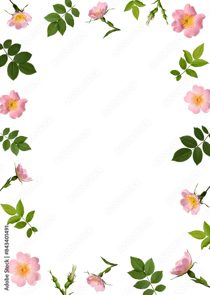 Delicate floral frame with leaves and rosehip flowers. Perfect for creating botanical cards, wedding invitations, photo frames, collages. Overlay background. Delicate floral frame with leaves and rosehip flowers. Perfect for creating botanical cards, wedding invitations, photo frames, collages. Overlay background.