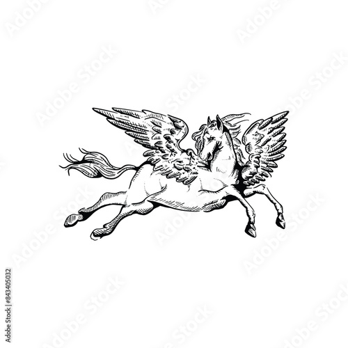 Vintage hand drawn flying Pegasus horse with feather wings art vector