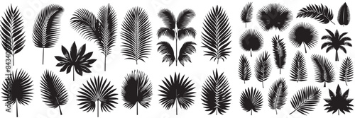 vector set of tropical leaves with a simple silhouette style