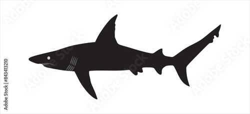Watercolor shark on the white background. Hand-painted realistic underwater animal art.Humpback, Killer, Cachepot, Bow head, Beluga, for design, print, sticker  Vector.