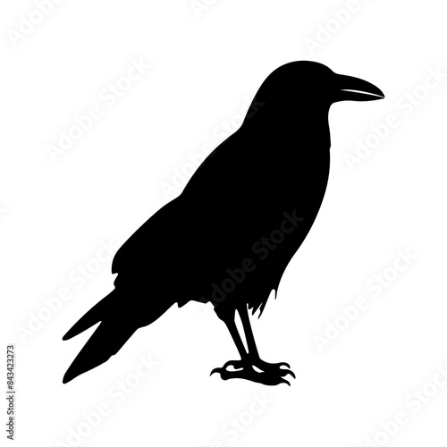 Crow raven bird vector silhouette