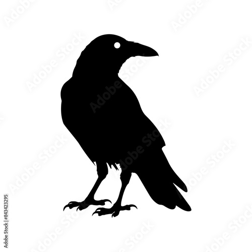 Crow raven bird vector silhouette