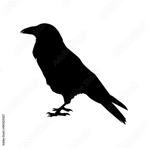 Crow raven bird vector silhouette