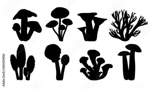 The set silhouettes of forest mushrooms.