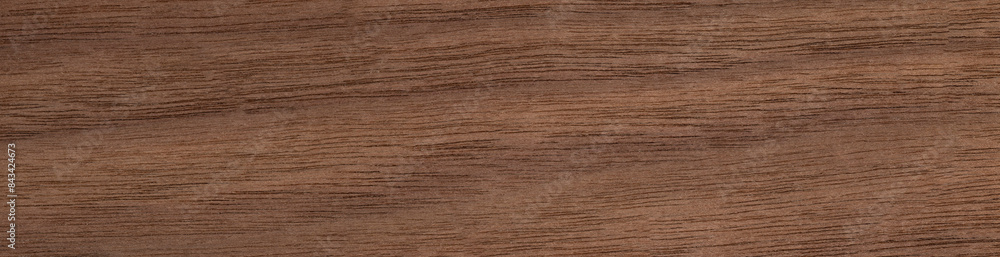 Canaletto veneer wood texture in close up. Panoramic wood veneer texture.