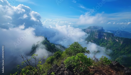 Phu Chee Fa: Discovering the Enchanting Cloud-Sea Land of Amazing Thailand