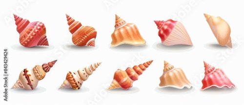 Modern illustration of colorful conch and spiral shells from an aquarium or underwater wildlife. photo
