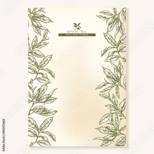 Green tea branch with leaves Border, frame, template for menu page, product label, cosmetic packaging. Vector illustration. In botanical style