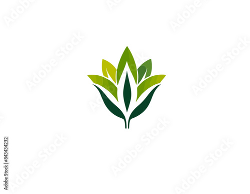 Eco logo, eko, ekologiczne logo, ekologia logo, ekologia, sałatka, warzywa, rośliny, logo, plants logo