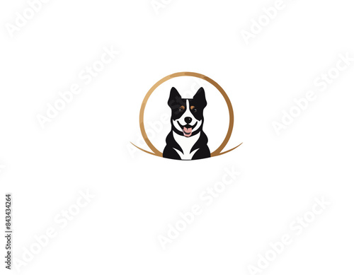 Dog logo, pies logo, logotype