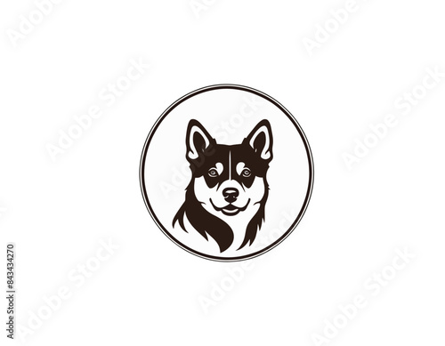 Dog logo, pies logo, logotype photo