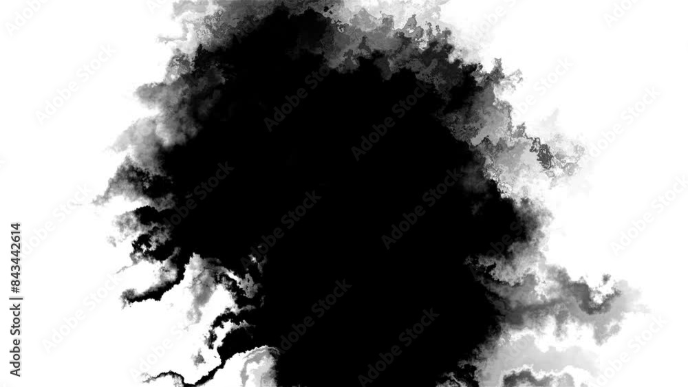 Abstract Ink splash spreads across the screen ink transition splatter blot spreading. ink splatter transition. ink brush stroke, fluid art black and white. Slide Show, Fade, Matte, Reveal splatter Abstract Ink splash spreads across the screen ink transition splatter blot spreading. ink splatter transition. ink brush stroke, fluid art black and white. Slide Show, Fade, Matte, Reveal splatter