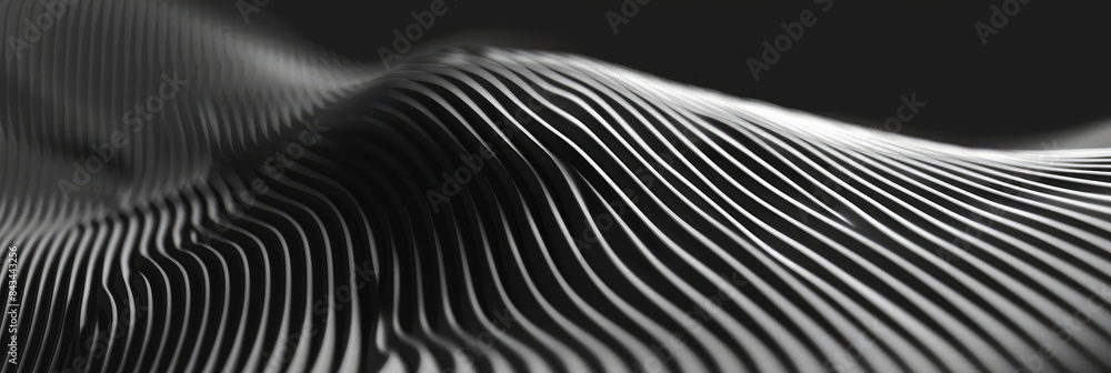 Abstract Dynamic Lines In A Geometric Pattern, In Precise Designs, Evoking Order And Complexity , HD Wallpapers, Background Image Abstract Dynamic Lines In A Geometric Pattern, In Precise Designs, Evoking Order And Complexity , HD Wallpapers, Background Image
