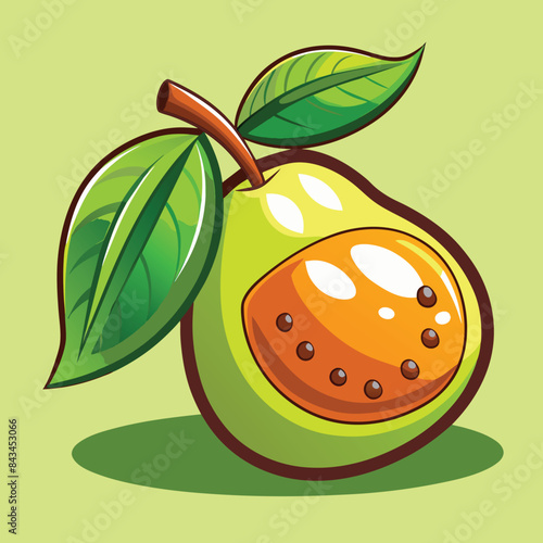 Funny Pouteria caimito vector clipart photo