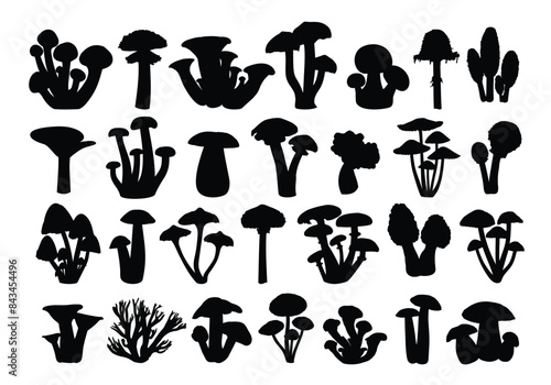 The set silhouettes of forest mushrooms.
